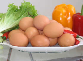              ÿ��Ը����� Ѫ��Ӳ����          