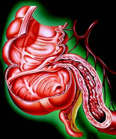 һ�������о��������޶�����������Σ����������