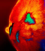 ��Σ���ḾŮ���ٰ�ɸ��