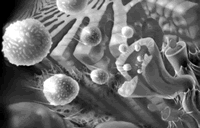 ��Ӳ�����䲢��֢�����������