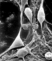 ��ͪ���ܶԼ�������������������