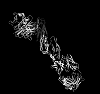 �ΰ����Ӱ������ƽ�չ