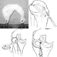 ͬ��������°��ǰ��°��ؽ������������