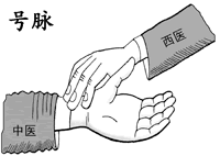 ҽѧ̽��Ӧ���и���İ�����