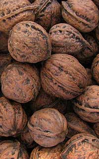 ��������о����֣�������ҩ��׳��