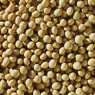  







�������µ�����ʳ��(ͼ)







