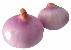  







��ж�����Щҩ������?







