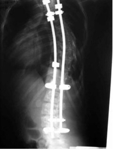  







�����������Ƶ��Ͳ��� ͼ







