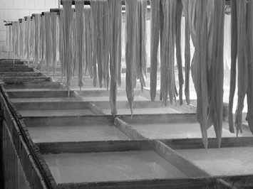 �Ѱ�ȫ�������С������Ҿ��ƽ�ʳƷ��ȫΣ�����ؼ�ز����淶�Ե㹤����ʵ��                    