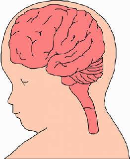 ����������ٴ��ع� 90����"���"��������&nbsp;