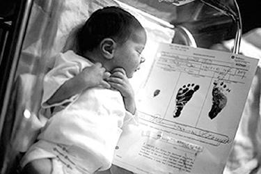 ���������䶳���Ӽ���(ͼ)