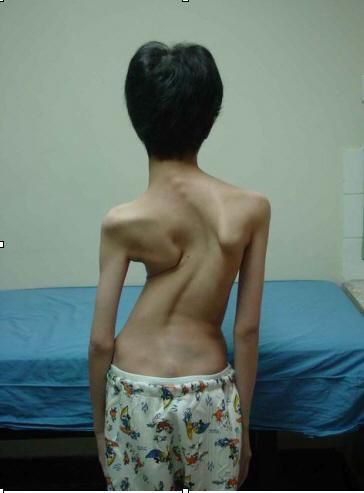 �����������Ƶ��Ͳ���