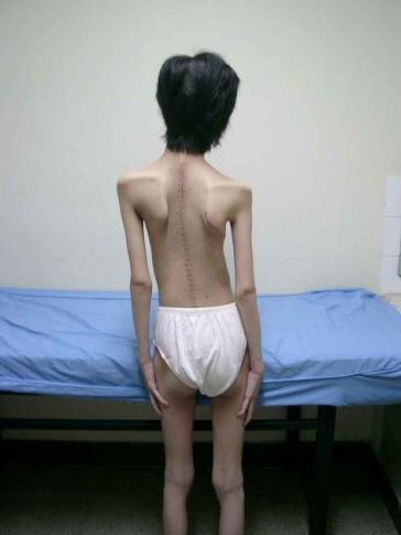 �����������Ƶ��Ͳ���