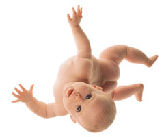 ����Ӥ��������������&nbsp;