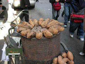 ����Կ����� �������������������ض��� 