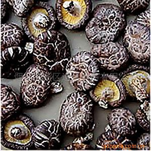 ѡ����ɱ�˸ΰ�ϸ��  ���Ģ������Ԥ���β�&nbsp;