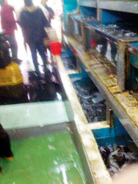 ����ȫ�С���ɱ���౦��&nbsp;