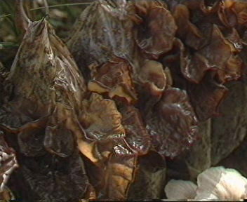 �峦�Ŷ�5��������&nbsp;