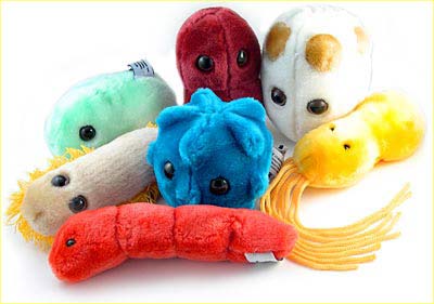 ���������˴��ԵĲ��� ���䲻��Դ�Ը�ð 