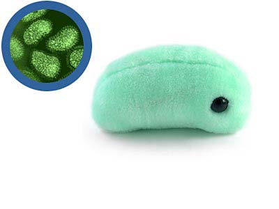 ���������˴��ԵĲ��� ���䲻��Դ�Ը�ð 