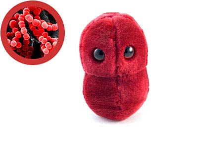 ���������˴��ԵĲ��� ���䲻��Դ�Ը�ð 