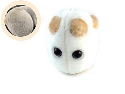 ���������˴��ԵĲ��� ���䲻��Դ�Ը�ð 