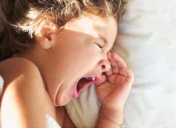 �����ܸ����Ӷ���˯�ߣ�