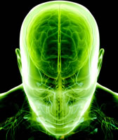 ����̼������ѡ������ʶ״̬����