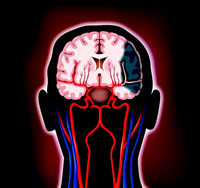 ����������Ԥ���ֶ��½�չ