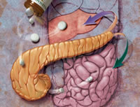 ����Ů��������Σ������