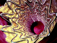 CISC 2007ϵ�б���֮��:�������