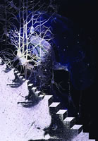 �����񾭲�ѧ���59�����ߢӢ(��)