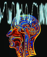 ����о���չ