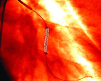 ��״���������������֧���о���չ