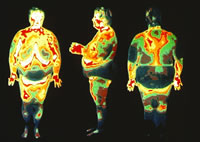 ���ֵĲ��ȶ��Թ��Ĳ������ƻ����