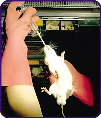 REACH��в��������