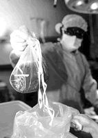 ���˻������ֲ�Թ��彡����Ӱ��