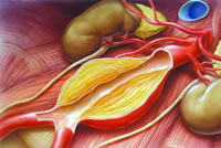 ����������,������������ǻ������?