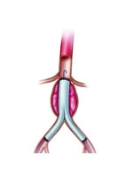 ����������,������������ǻ������?