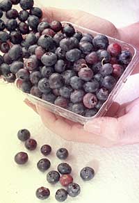 �����Ϲ��� ��Ԥ�����Բ�