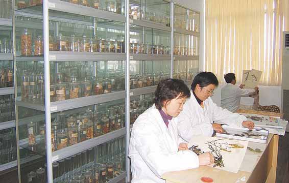 ��ҩ�ġ����ܡ������������ֵġ���̨����ʳƷҩƷ��ֲܾ鴦�����ʹƬ���ӻ�ѧƷ��ʵ                     