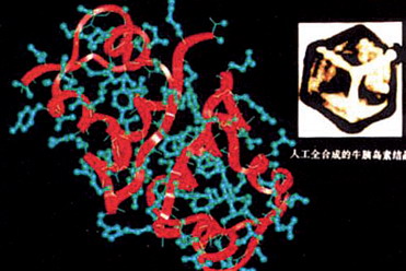 ҩѧ�о�  ���³ɾ�δ��                     