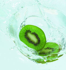 
	
   	���� 14��ʳ��������������(��ͼ)