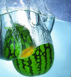 
	
   	���� 14��ʳ��������������(��ͼ)