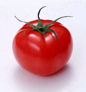 
	
   	���� 14��ʳ��������������(��ͼ)