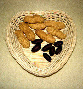 
	
   	���� 14��ʳ��������������(��ͼ)