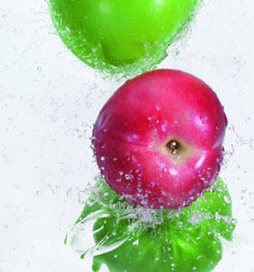 
	
   	���� 14��ʳ��������������(��ͼ)