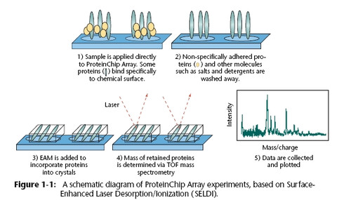 
	
   	��ҩ����ҩ��ѧ�н�չ