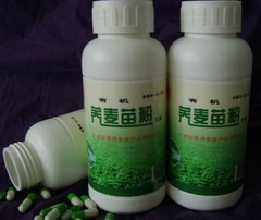 
	
   	�׸������ǵĐ�