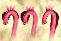 ��ս������������������22�������ͣѭ����������̸